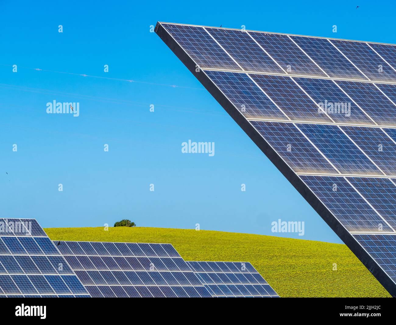 Photovoltaic system in the Cadiz countryside Stock Photo