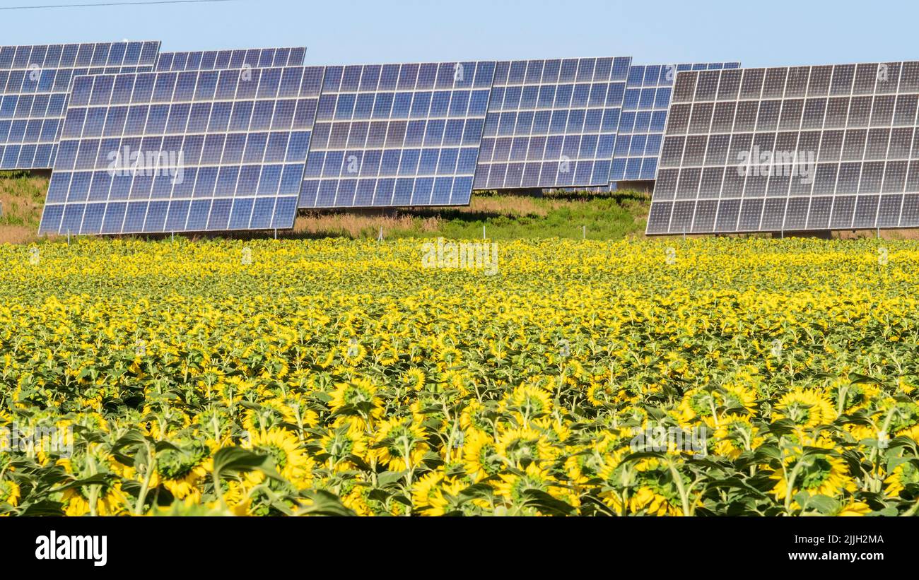 Photovoltaic system in the Cadiz countryside Stock Photo