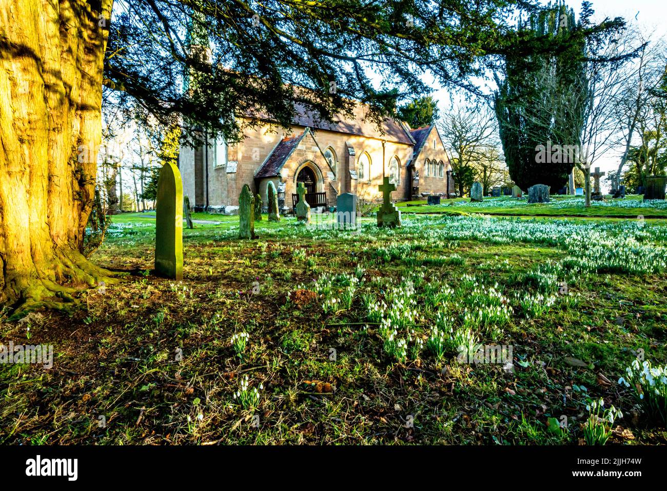 Old English church with white snowdrops in graveyard Stock Photo