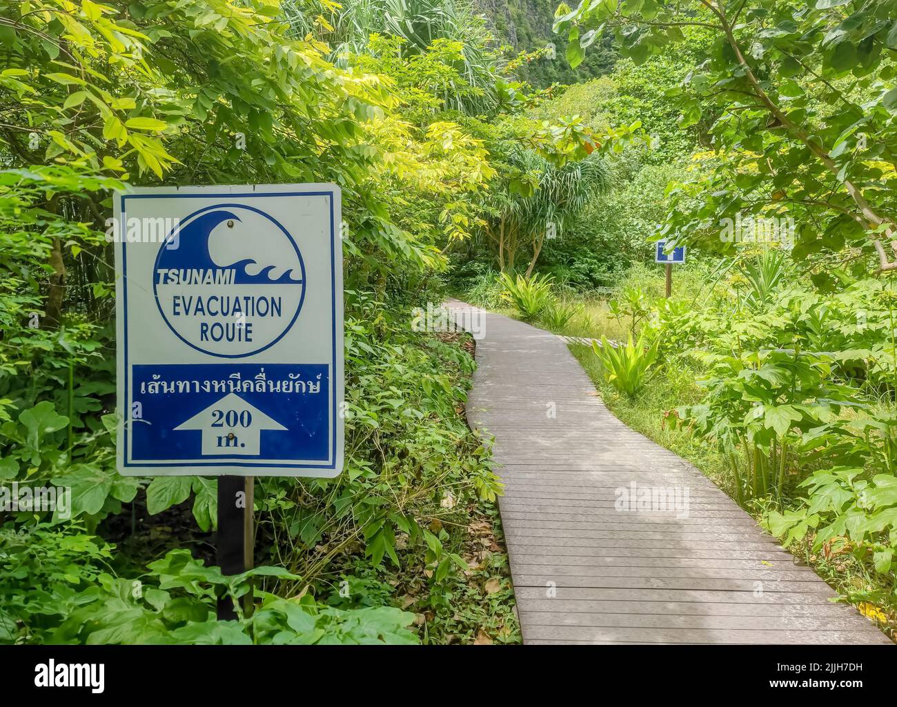 Sign showing tsunami evacuation route in a middle of jungle. Showing to go 50 meters straight Stock Photo