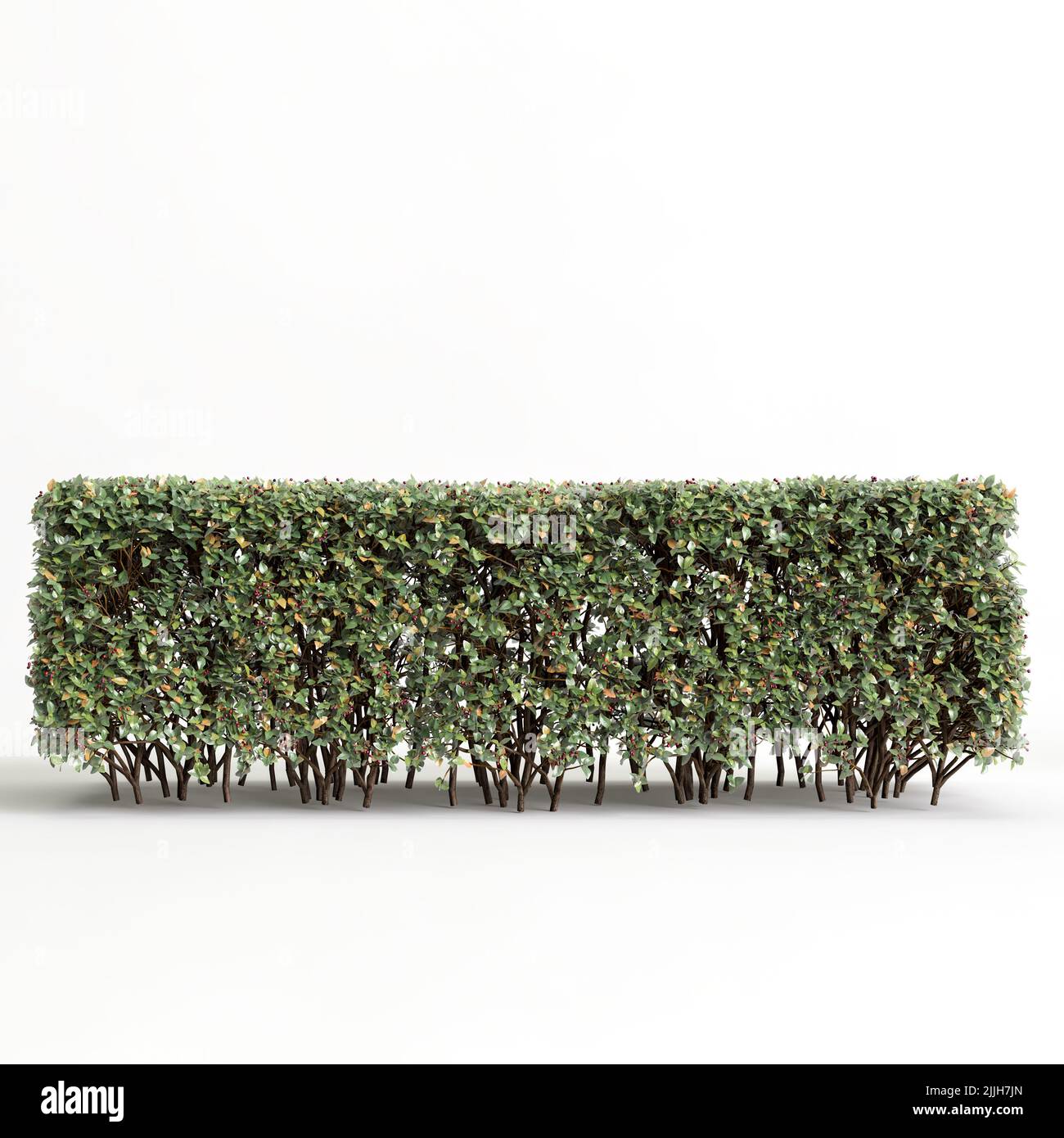 3d illustration of tree fence Stock Photo Alamy