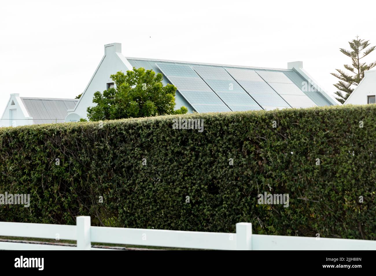 Green plants fence with solar panels on rooftop of houses in background against clear sky Stock Photo