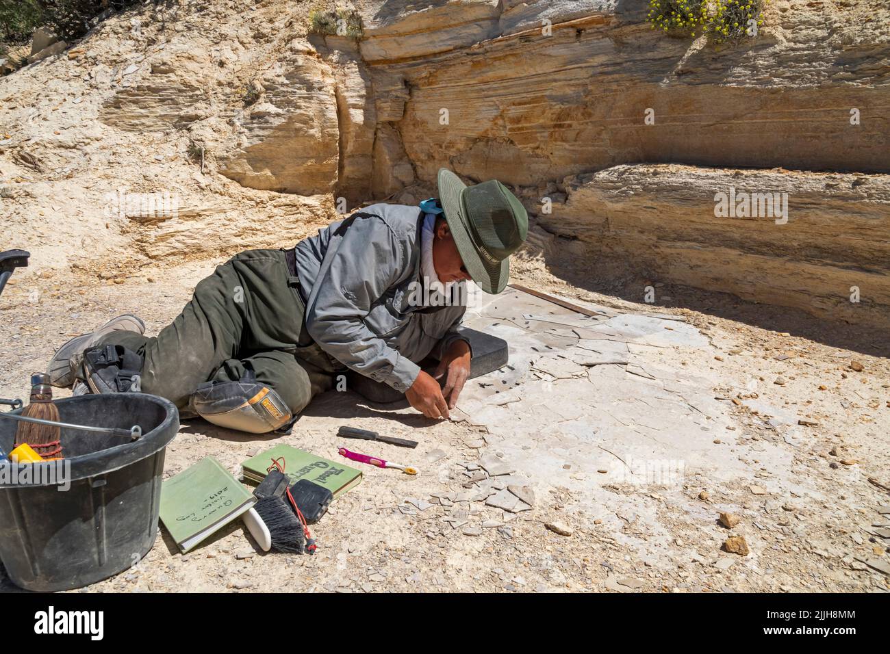 Kemmerer, Wyoming Fossil Butte National Monument. Dawn AllenCarlson