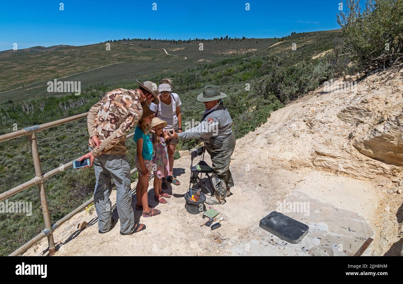 Kemmerer, Wyoming Fossil Butte National Monument. Dawn AllenCarlson