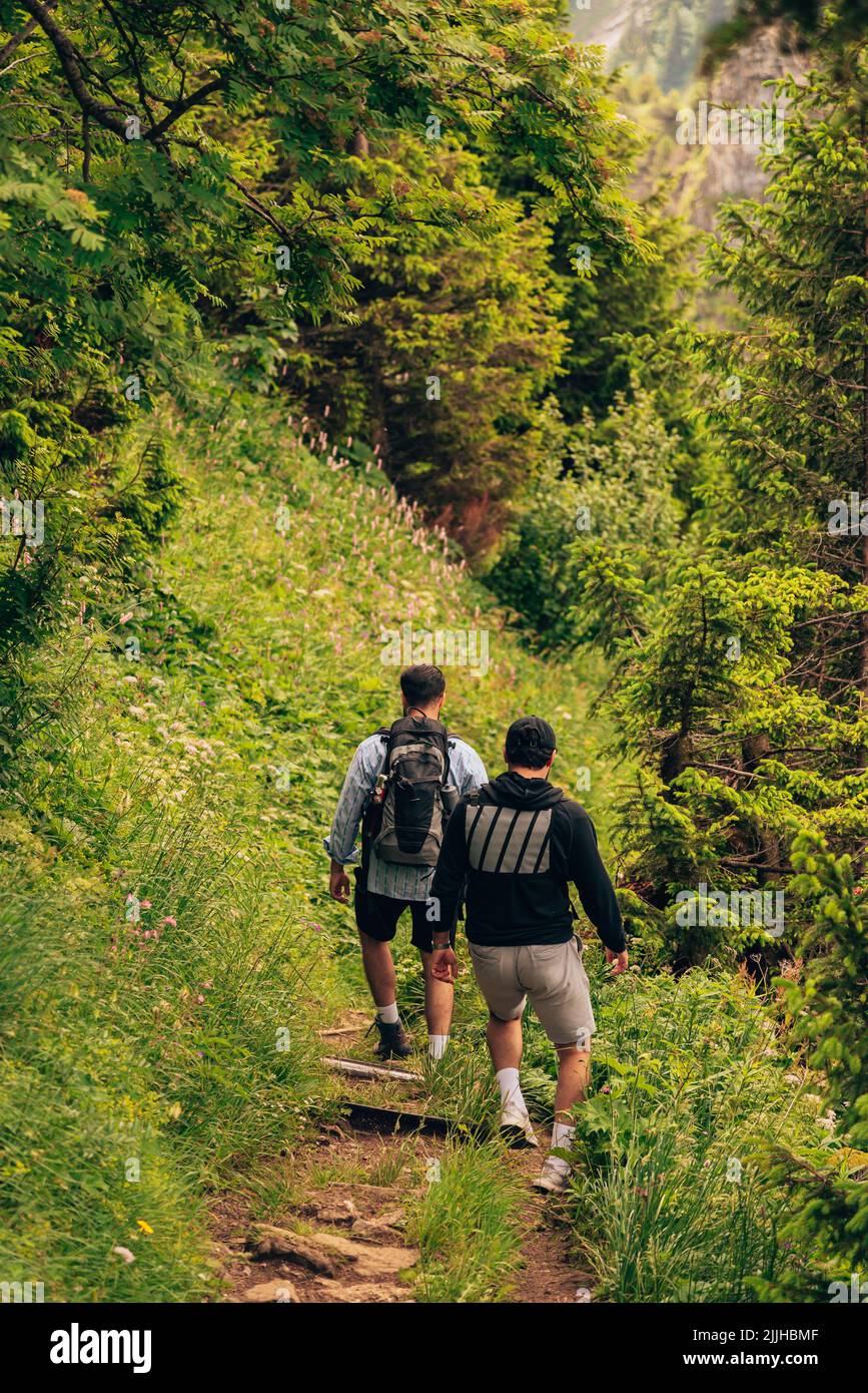 A vertical shot of two fit men walking down a narrow path in the forest with lush green trees Stock Photo