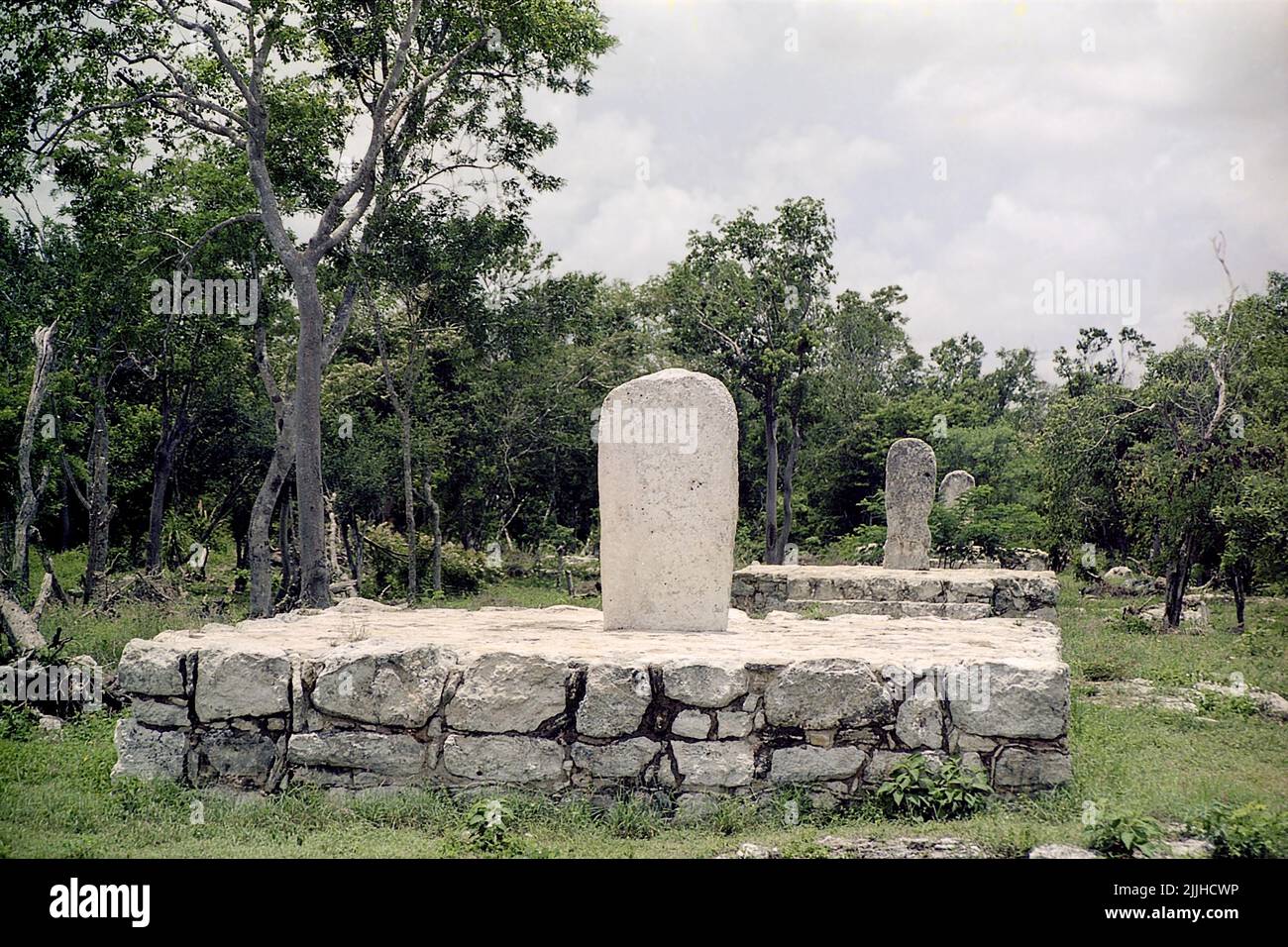 Stelae Plaza in Dzibilchaltun Mayan ruins, north of Merida, Yucatan, Mexico. Stock Photo