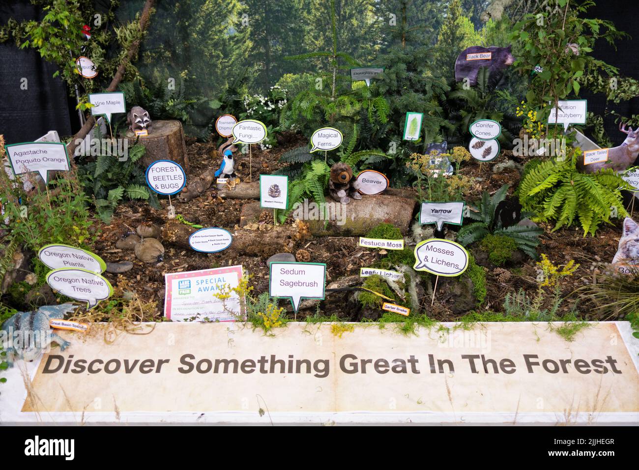 A display about the things one finds in a forest,  created by the Spencer Creek Grange, at the Lane County Fair in Eugene, Oregon. Stock Photo