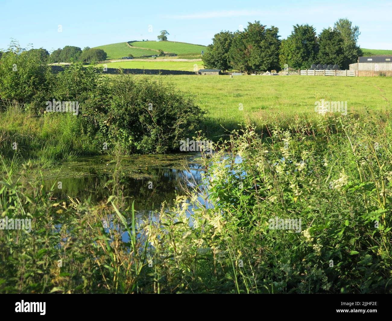 View of the Lancaster Canal and the surrounding English countryside at the hamlet of Crooklands in Cumbria on a summer evening. Stock Photo