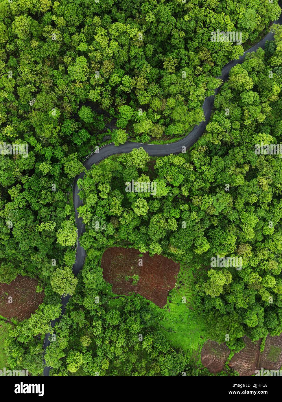 A vertical shot of a narrow river surrounded by green vegetation Stock ...