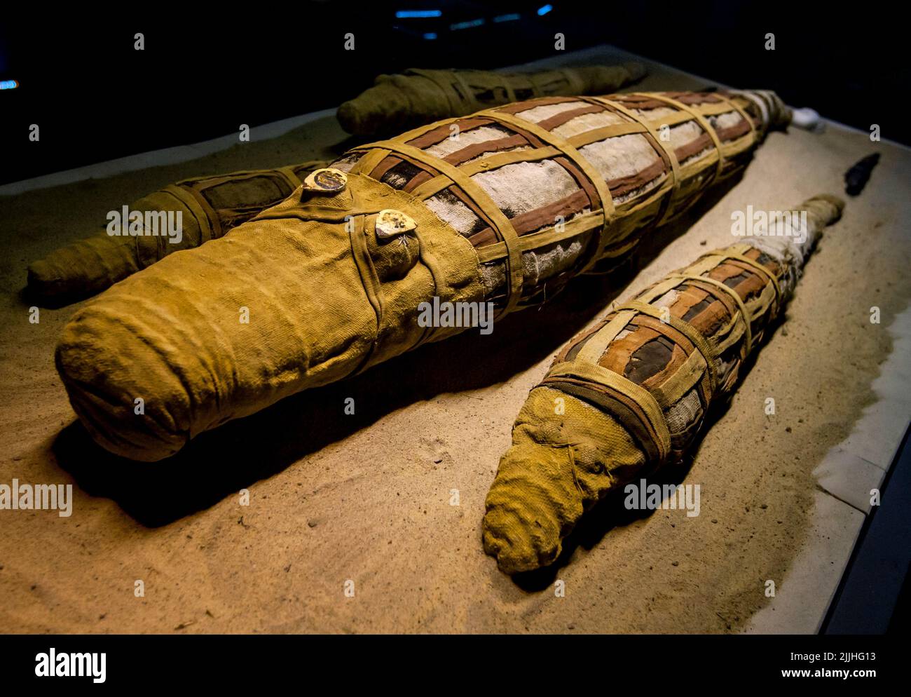 Ancient mummified crocodiles wrapped in cloth located within the Crocodile Museum at the ancient site of Kom Ombo in central Egypt. Stock Photo
