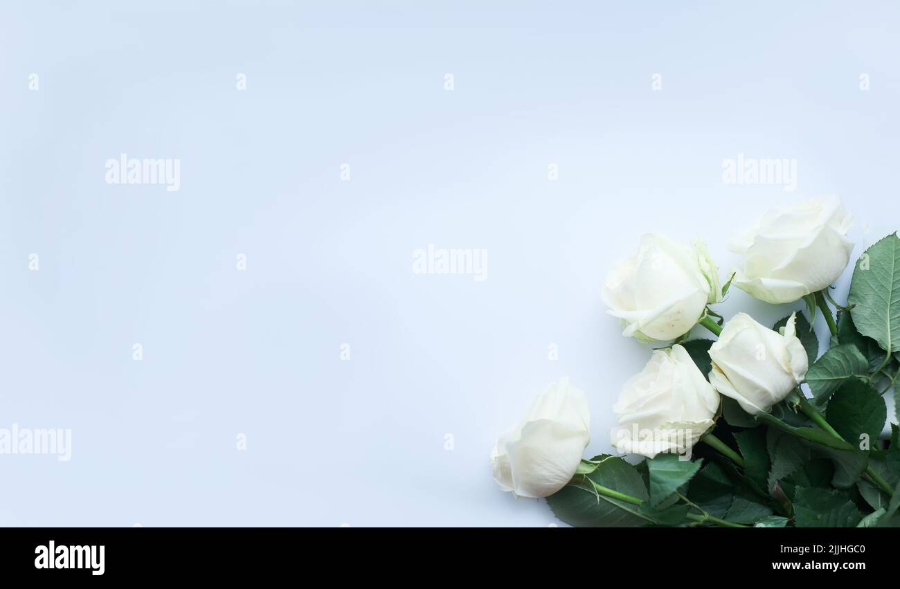 Flowers composition. Frame made of white rose flowers on white background. Valentines day, mothers day and womens day concept. Flat lay, top view Stock Photo