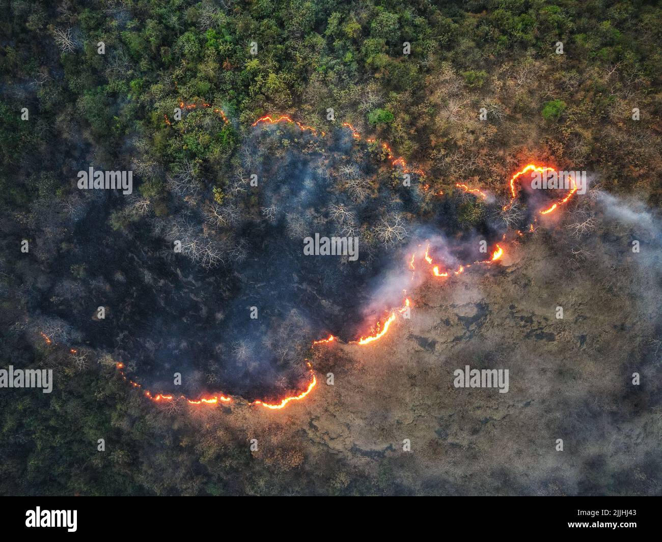 An aerial view of forest fire Stock Photo - Alamy