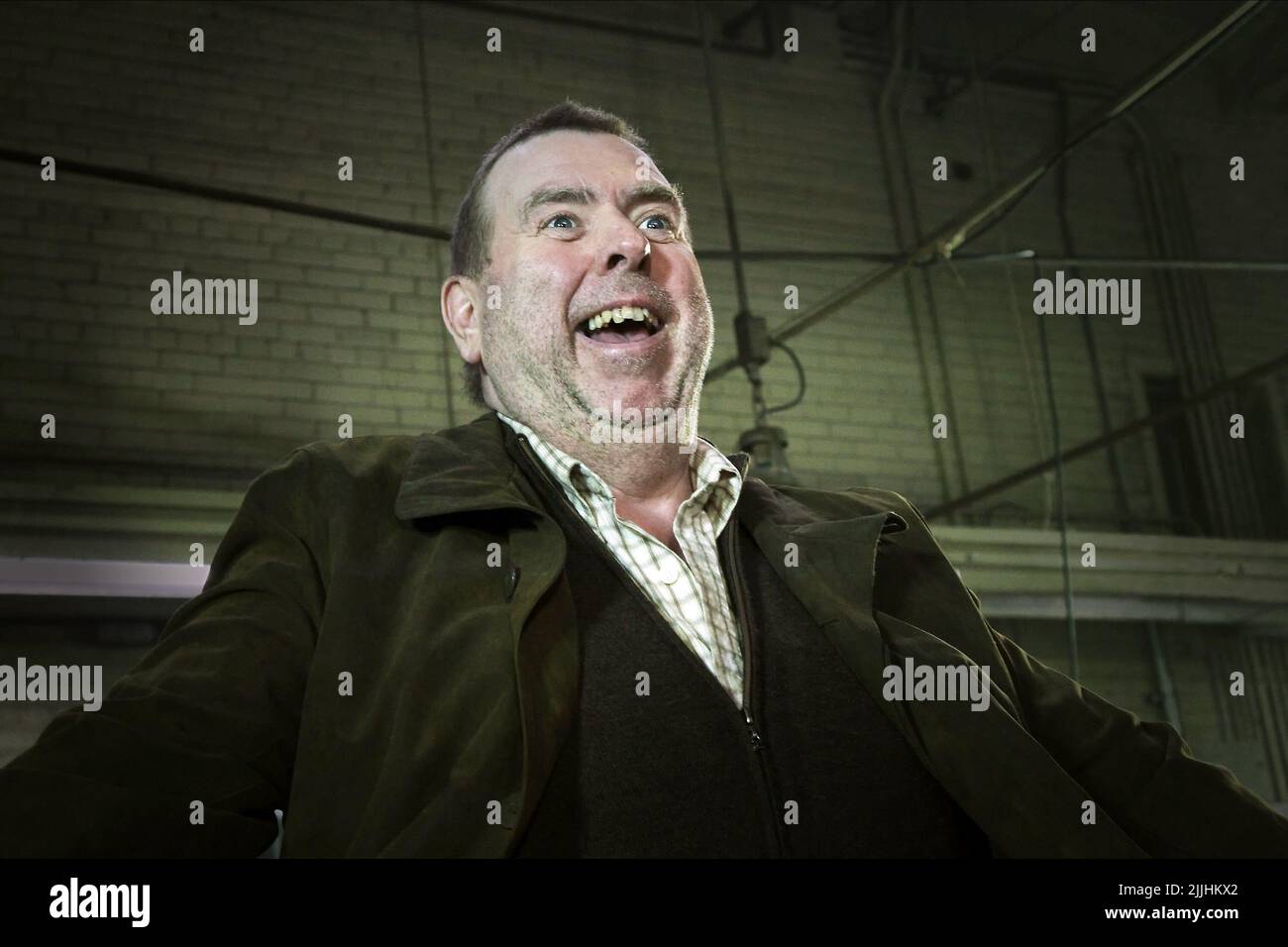 TIMOTHY SPALL, UPSIDE DOWN, 2012 Stock Photo
