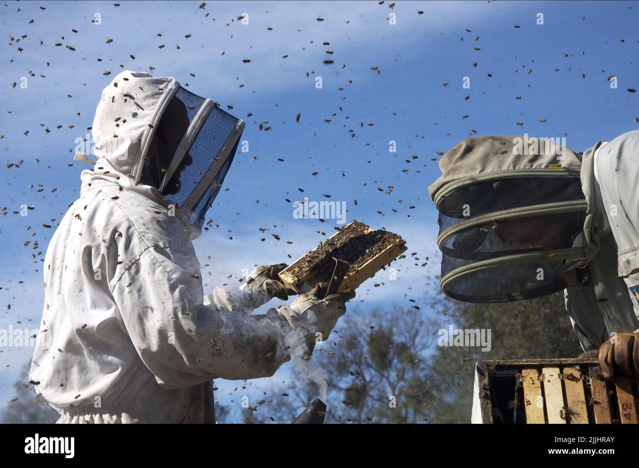 BEEKEEPERS, MORE THAN HONEY, 2012 Stock Photo