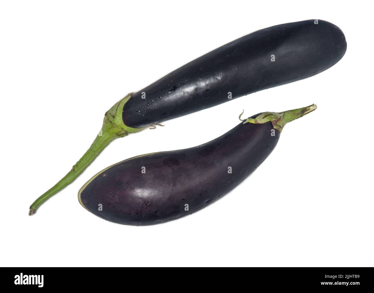 eggplant on a white background. Useful vegetable. Harvest from the