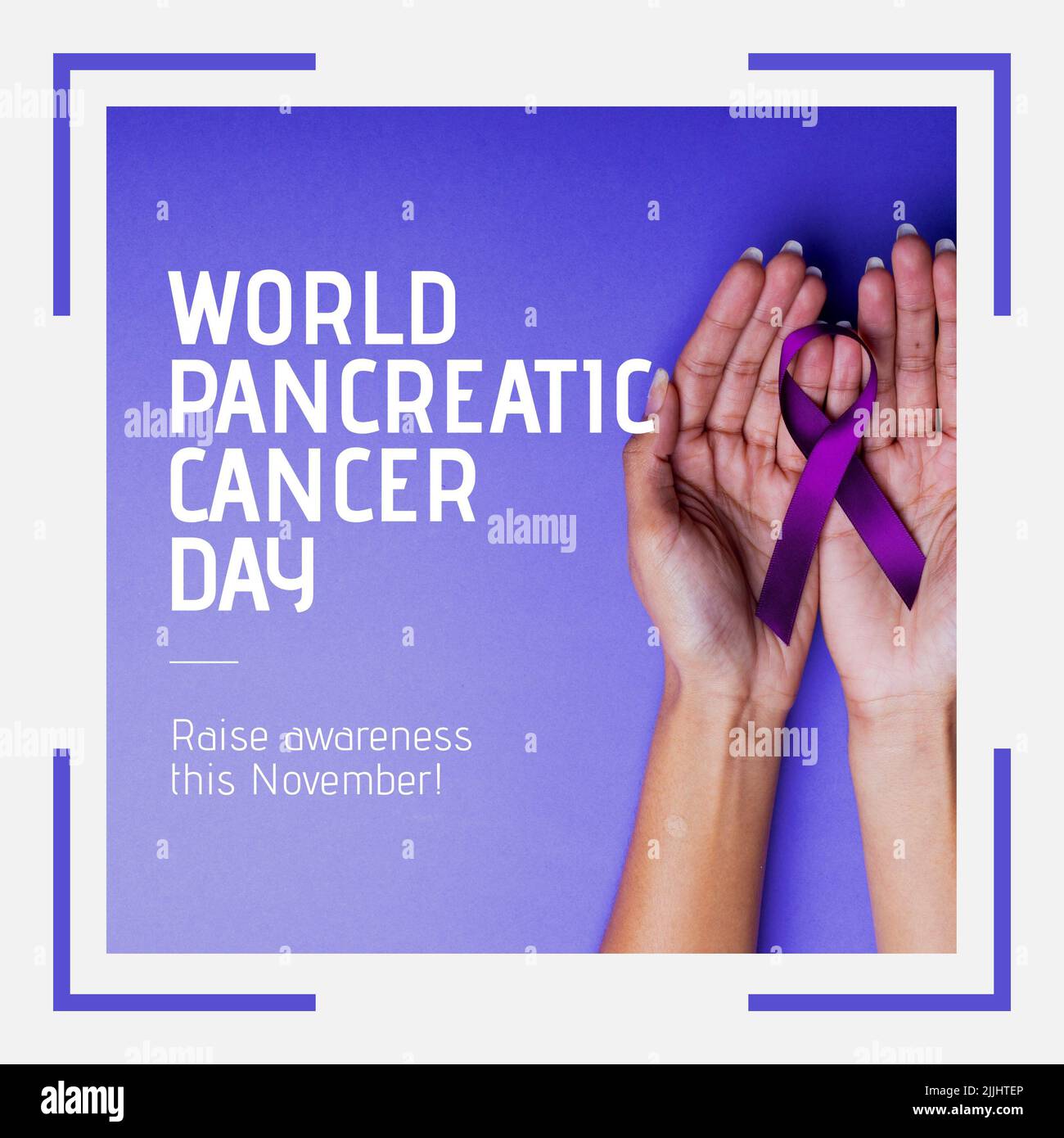 Composition of world pancreatic cancer day text with hands holding purple ribbon on blue background Stock Photo