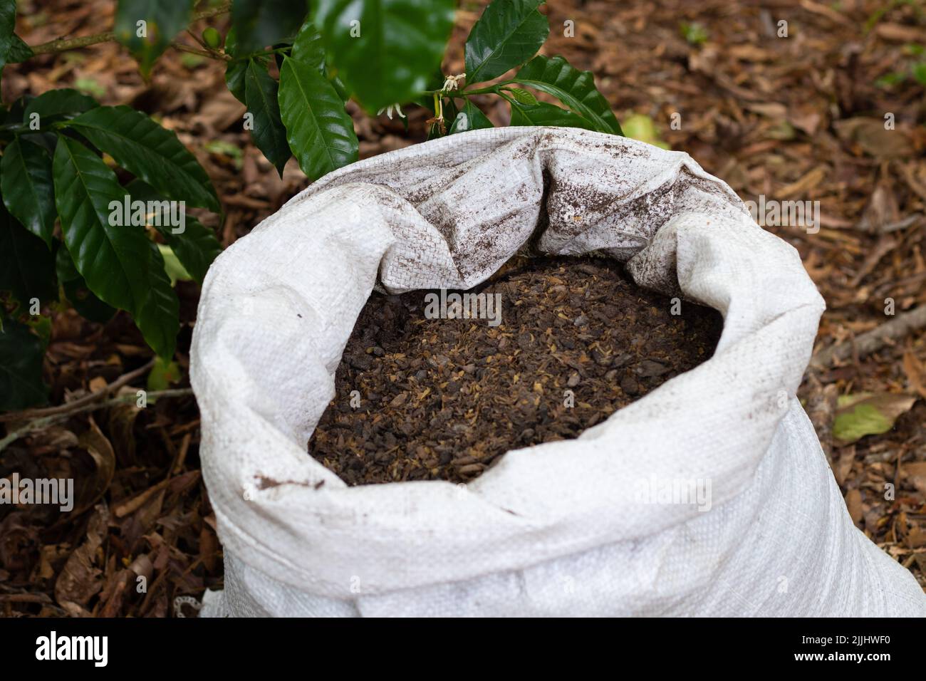 A view of the manure in the bag Stock Photo Alamy