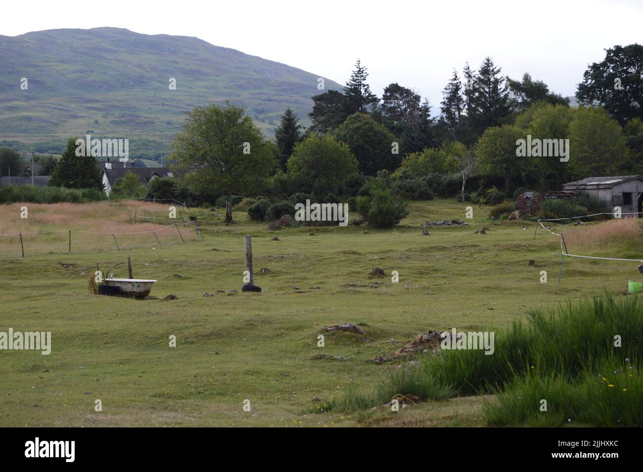Rural scene on banks of Caledonian Canal at Fort Augustus, July 2022 Stock Photo