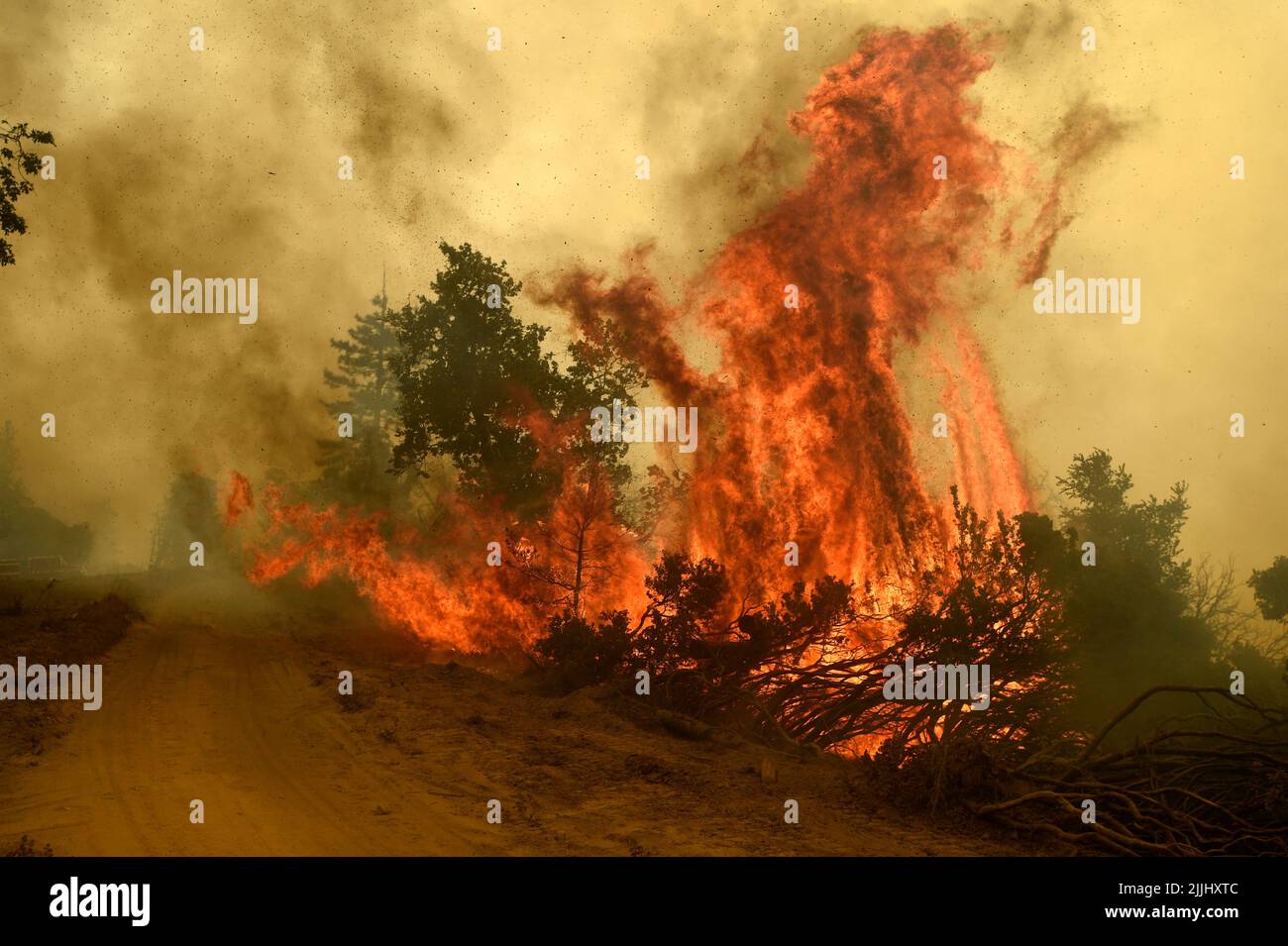Jerseydale, CA, USA. 26th July, 2022. Jerseydale, CA, U.S. - Firefighters took advantage of the favorable conditions today to conduct controlled burns along the dozer lines on the Oak Fire near Jerseydale, Ca. (Credit Image: © Neal Waters/ZUMA Press Wire) Stock Photo