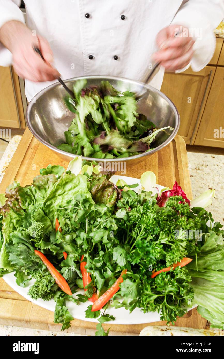 Florida Kendall,Hispanic Latin Latino ethnic immigrant minority,adult man men male,chef makes how to cook video,kitchen cooking greens salad Stock Photo