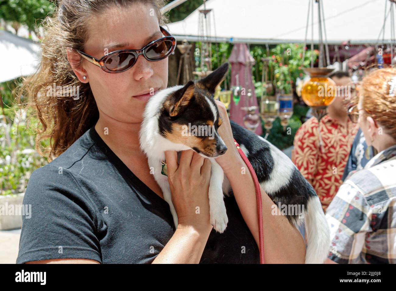 Miami Beach Florida,Lincoln Road pedestrian mall adult adults woman women female lady,holding pet pets dog dogs,people person scene in a photo Stock Photo