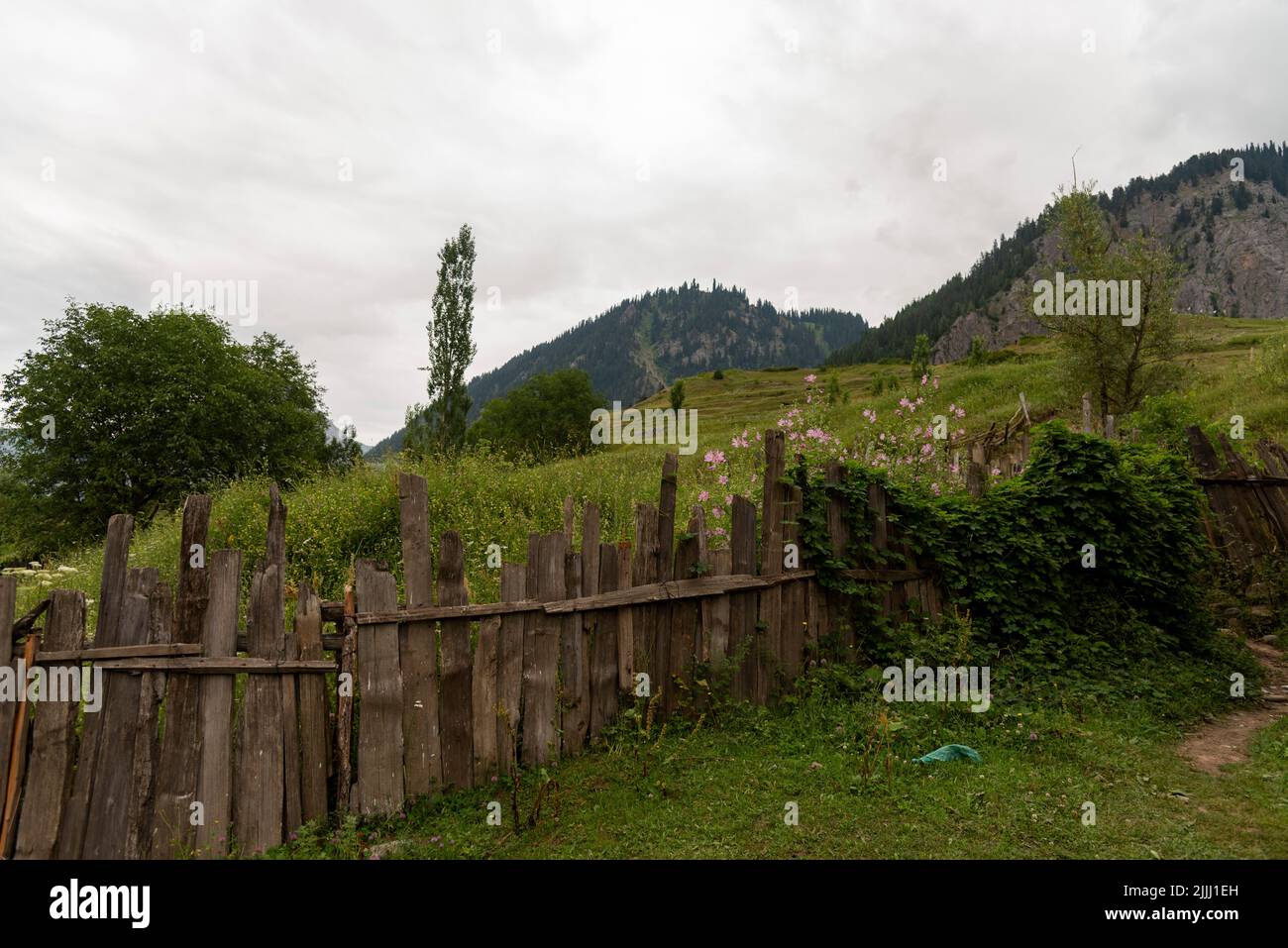 Bandipora, India. 16th July, 2022. A view of clouds covered mountains in Gurez. (Photo by Idrees Abbas/SOPA Images/Sipa USA) Credit: Sipa USA/Alamy Live News Stock Photo