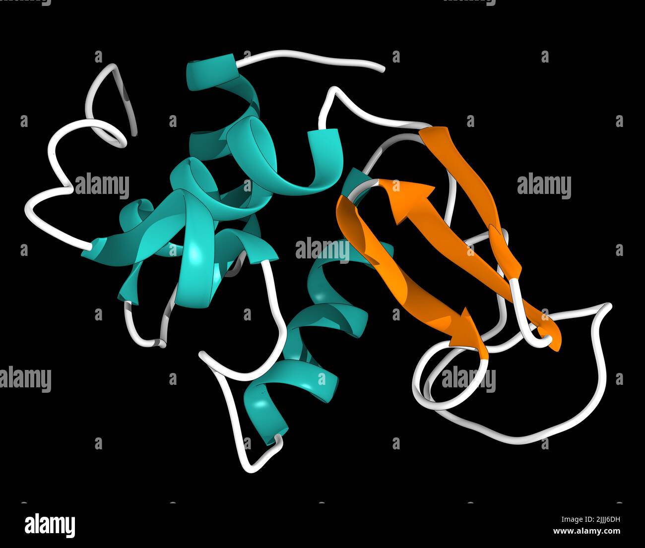Lysozyme enzyme, illustration Stock Photo Alamy