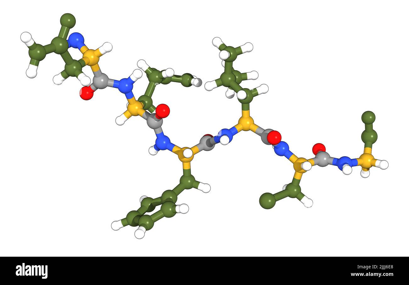 Protein primary structure, illustration Stock Photo - Alamy