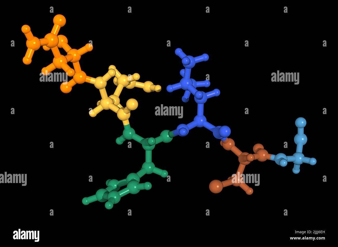 primary structure of proteins