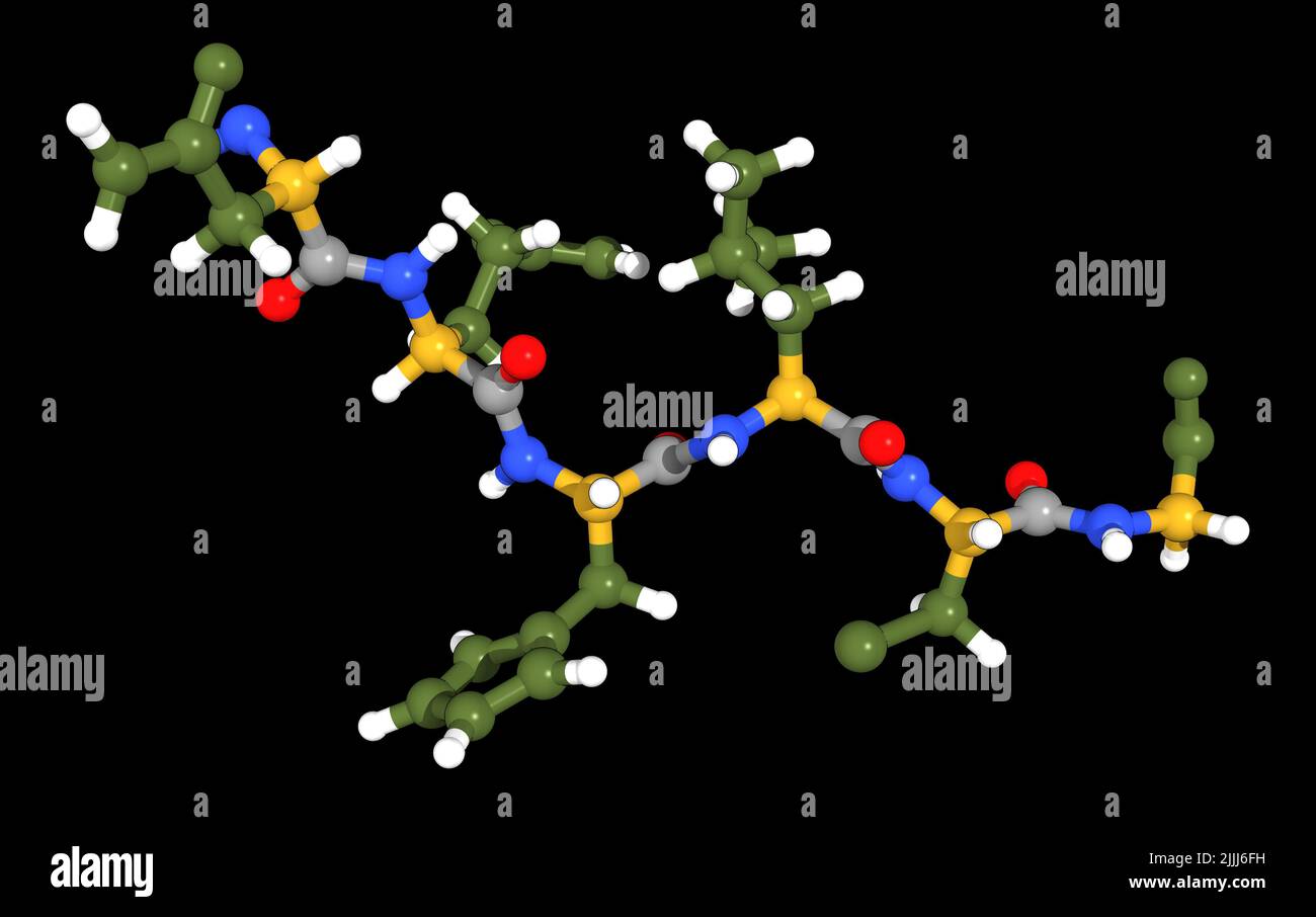 Protein primary structure, illustration Stock Photo - Alamy