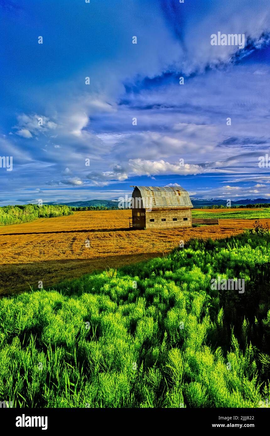 A vertical image of a barn on a hilltop with storm clouds passing overhead in rural British Columbia Canada. Stock Photo