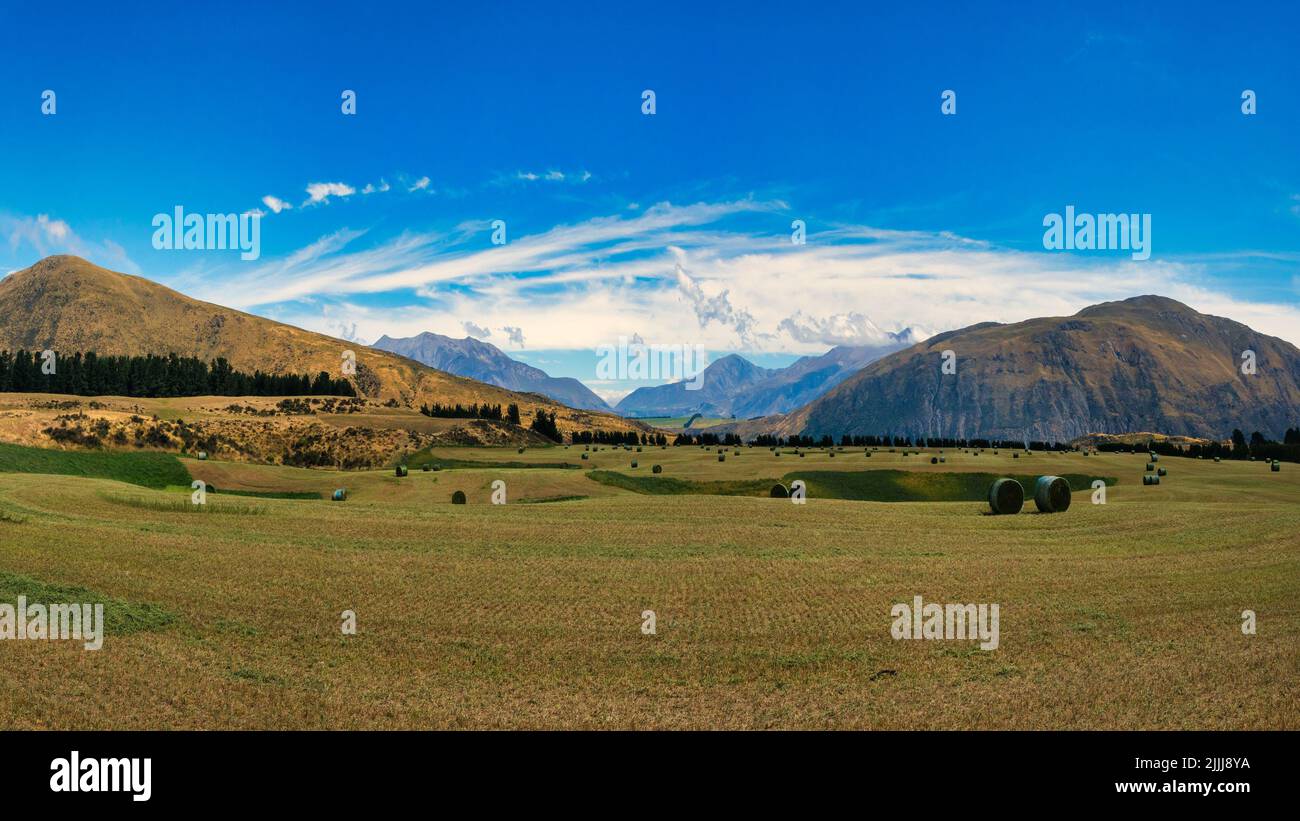 Hay bales sitting on agricultural farm grazing fields beneath the Southern Alps Stock Photo