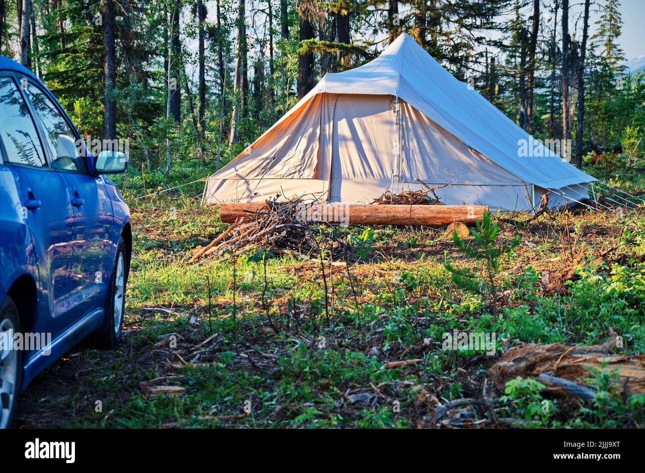Camping in the forest with car parked nearby Stock Photo