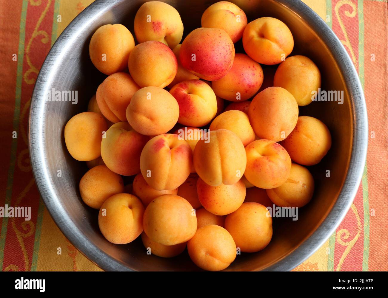 Beautiful, sweet golden orange apricots in a bowl, fresh picked from a backyard tree, northern California Stock Photo