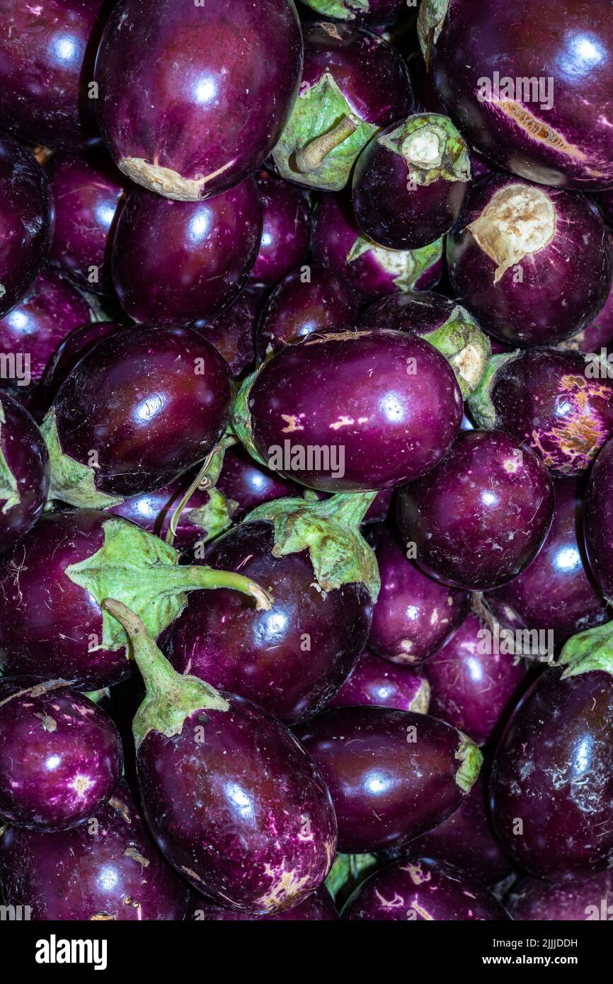 Scarlet eggplant hi-res stock photography and images - Alamy