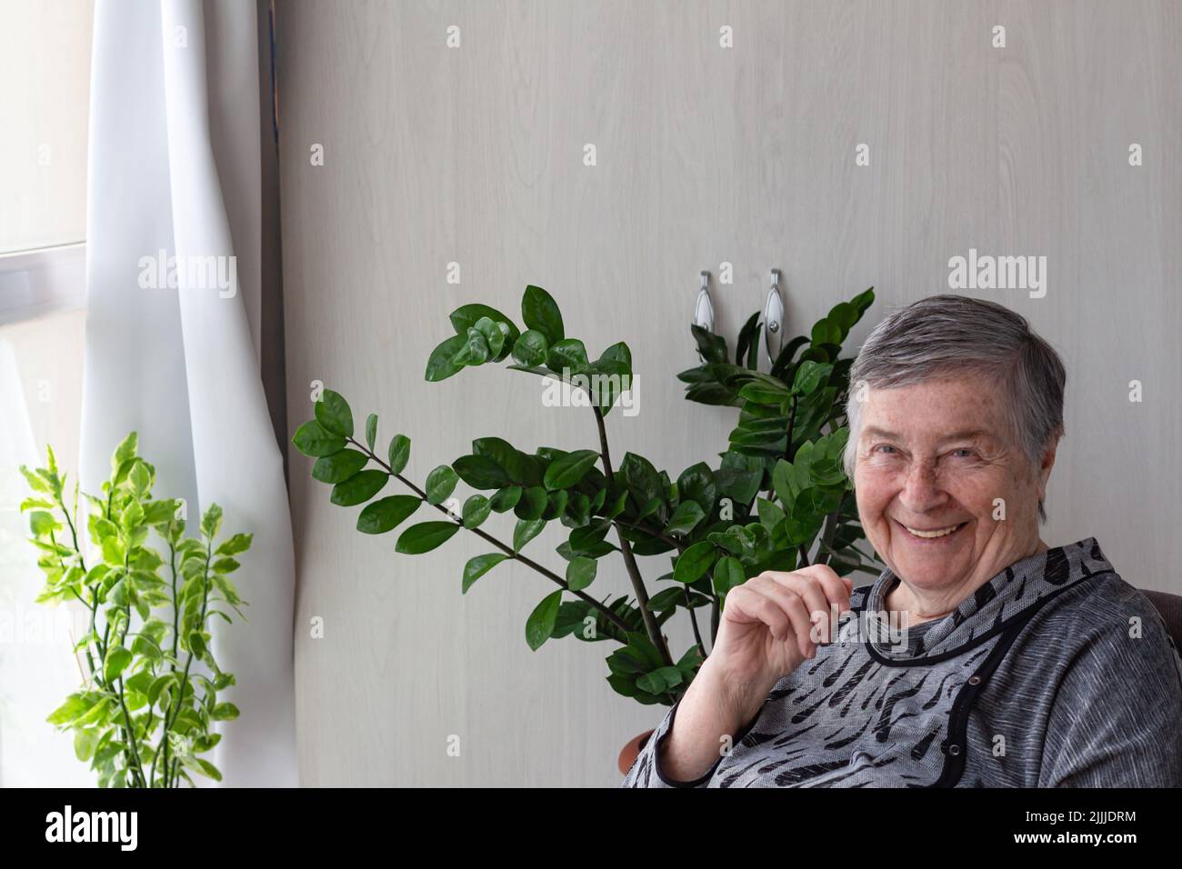Happy senior retired female sitting on veranda, headshot portrait. senior woman smiling with copy space, selective focus.Global Day of Parents Stock Photo