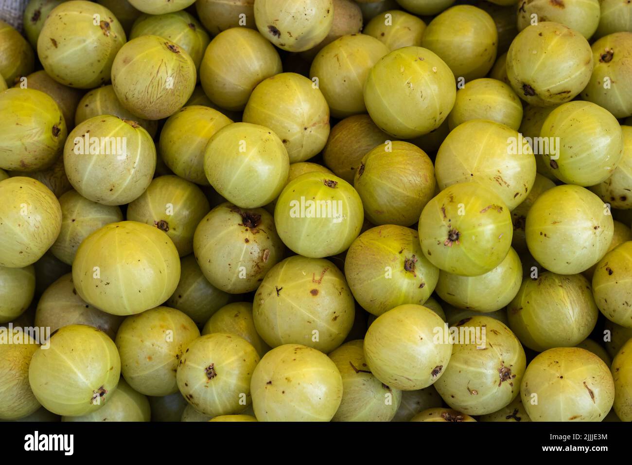 fresh indian gooseberries from farm close up from different angle Stock Photo