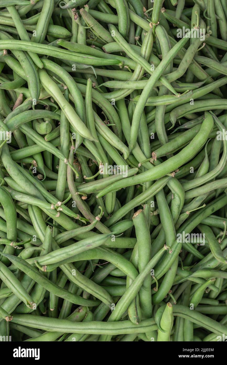 fresh organic green beans from farm close up from different angle Stock