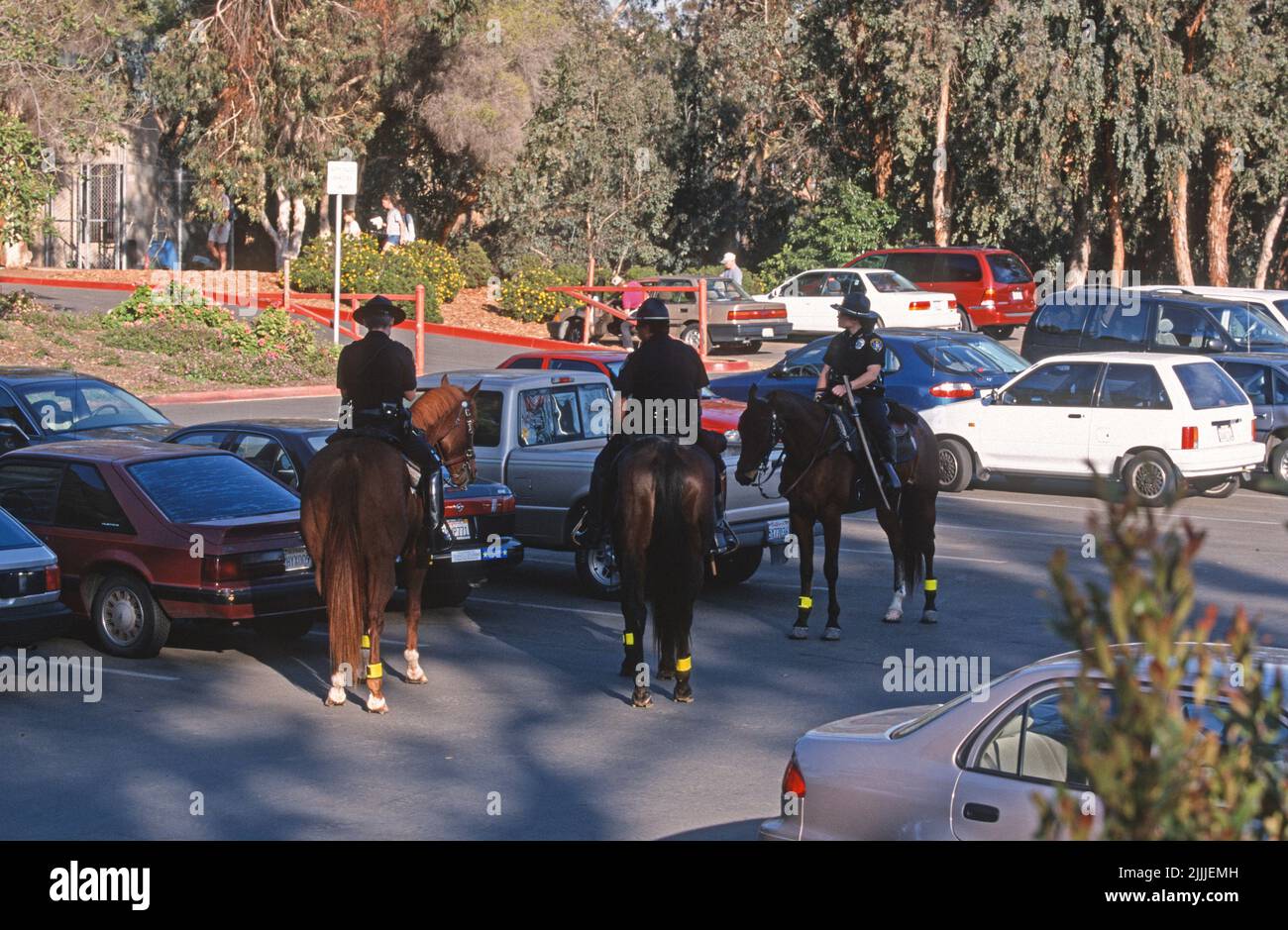 San diego police department mounted horse patrol stock photo alamy