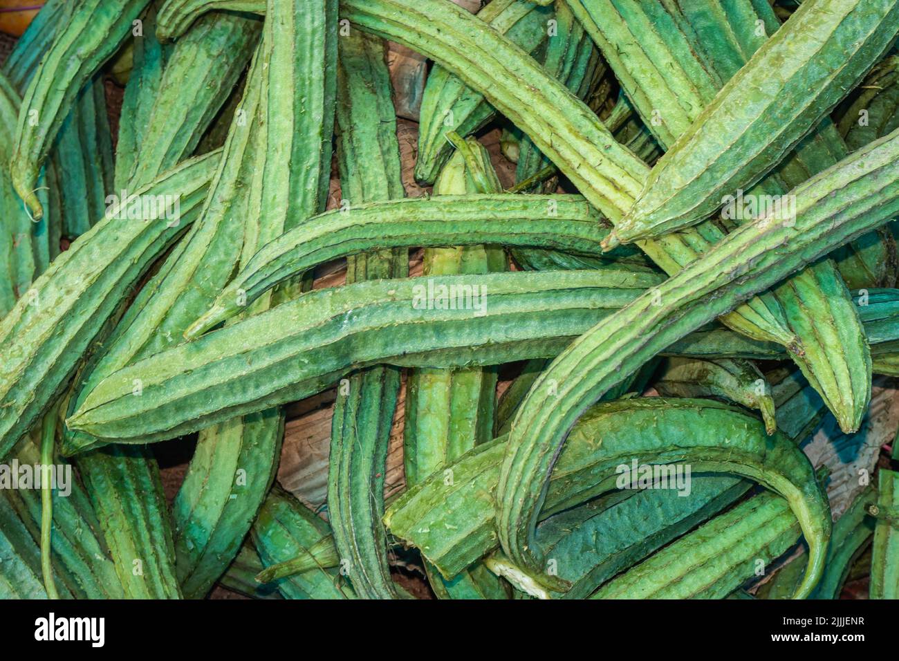 fresh organic ridged gourd from farm close up from different angle ...