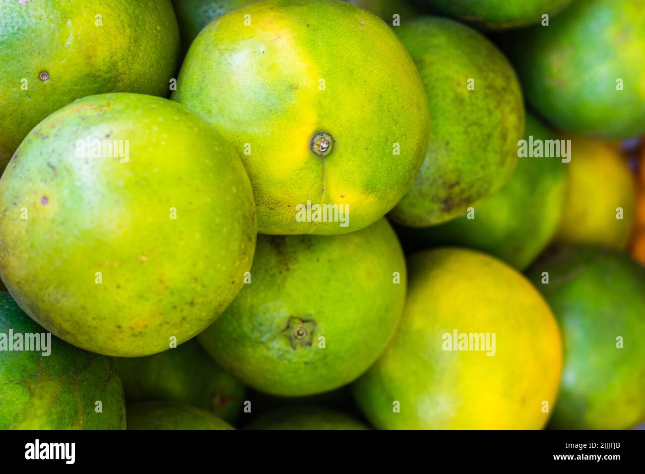 fresh organic sweet lime from farm close up from different angle Stock Photo