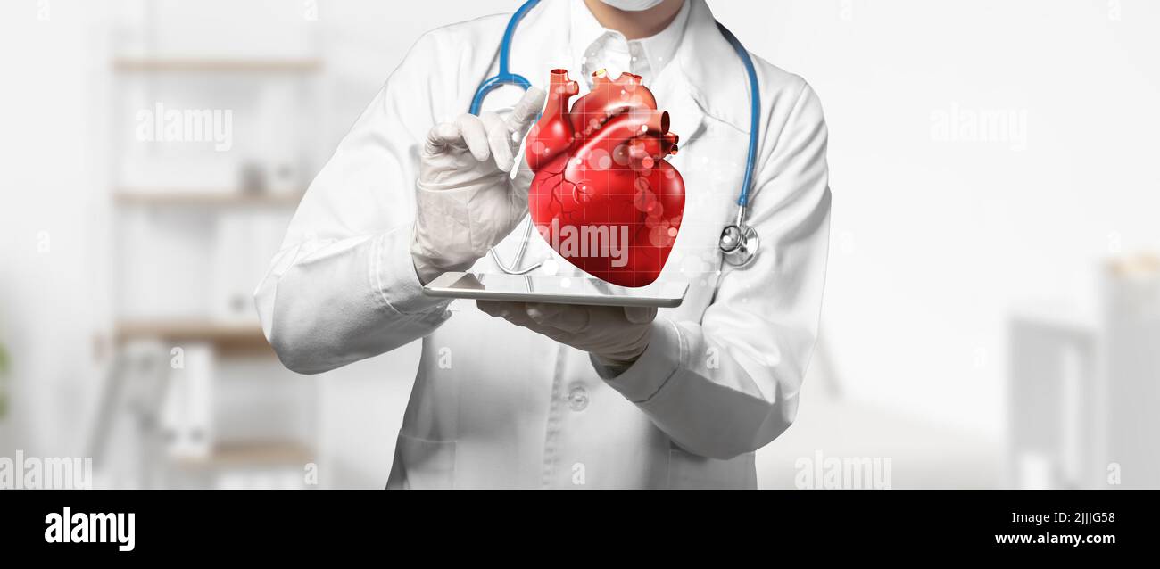 Cardiologist using digital twin technology in clinic Stock Photo Alamy
