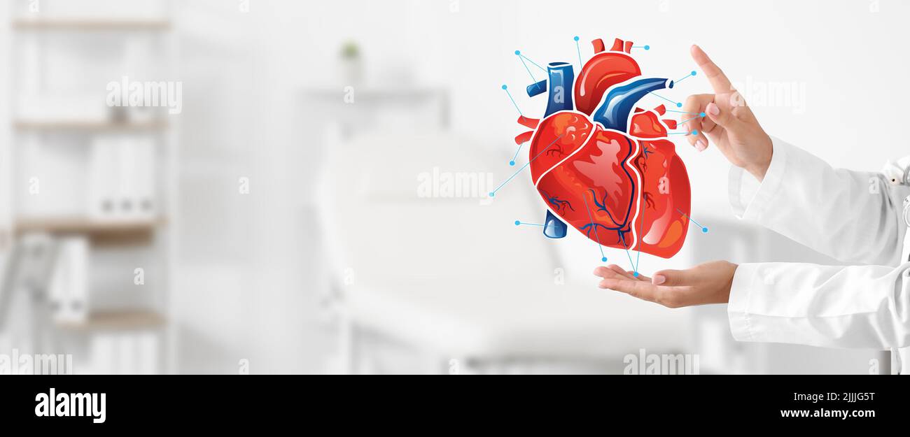 Cardiologist using digital twin technology in clinic Stock Photo Alamy