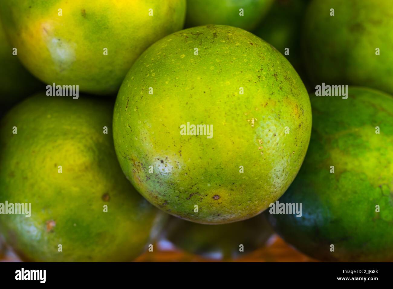 fresh organic sweet lime from farm close up from different angle Stock Photo
