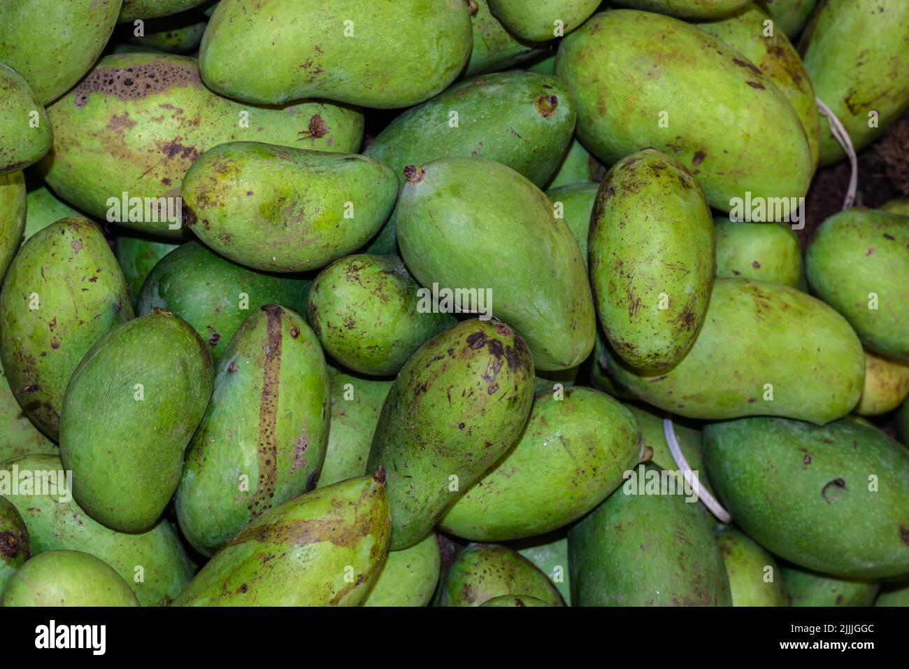 Rotting mango hi-res stock photography and images - Alamy