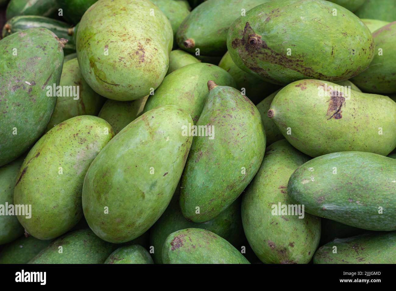 Unripe mango outlet