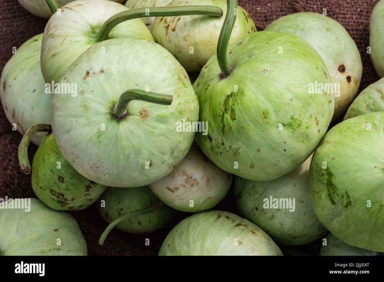 Bottle gourd lagenaria siceraria hires stock photography and images
