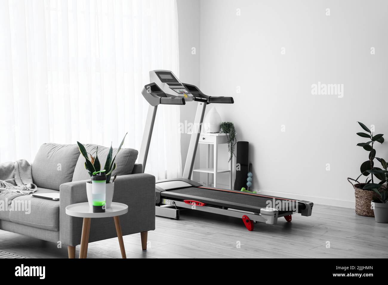 Interior of light living room with treadmill, sofa and houseplants