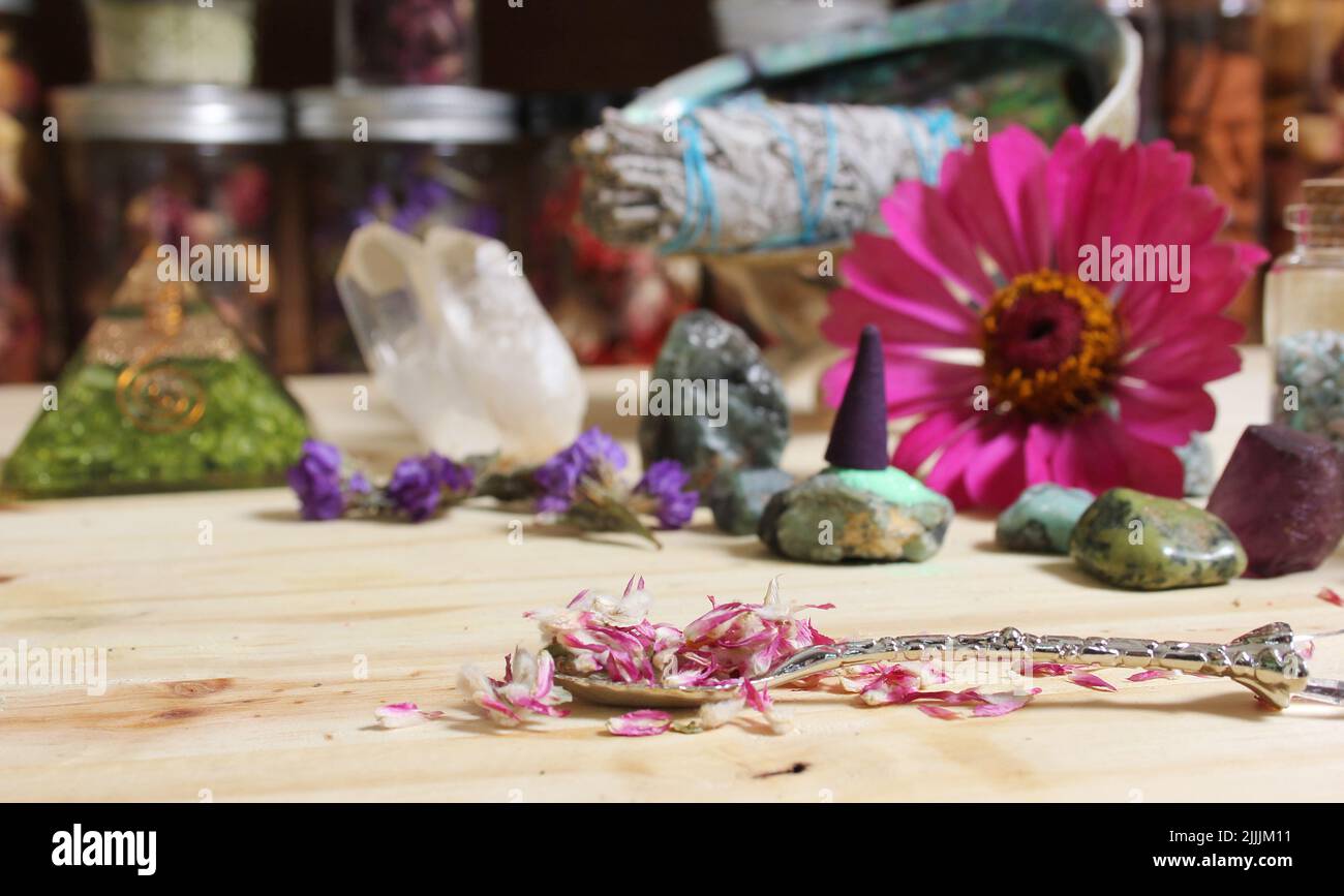 Dried Flowers and Crystal Chakra Stones on Meditation Altar Shallow DOF