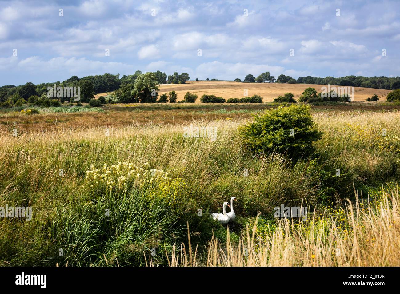 Brede levels hires stock photography and images Alamy